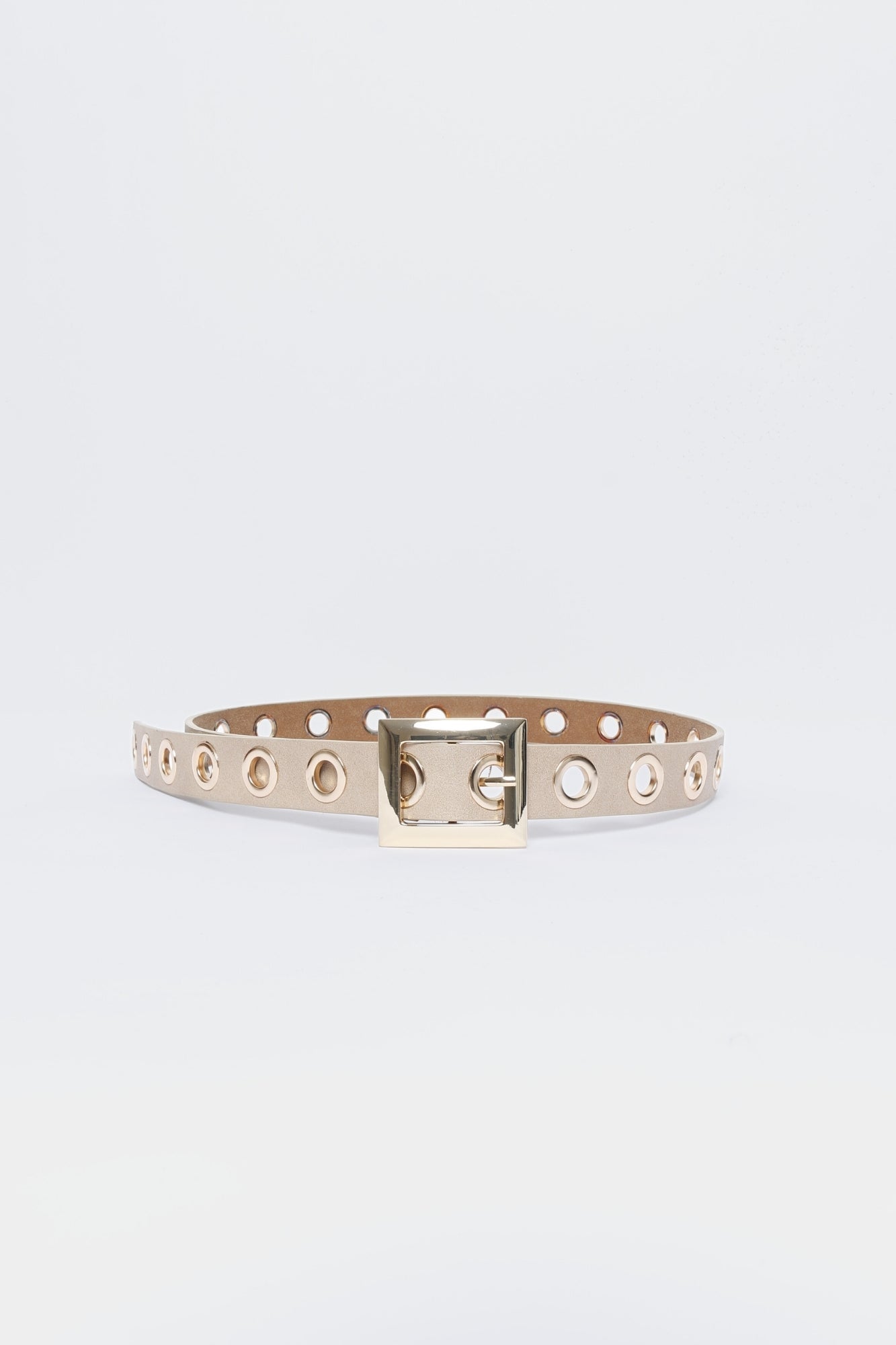 CINTURON  EYELETS